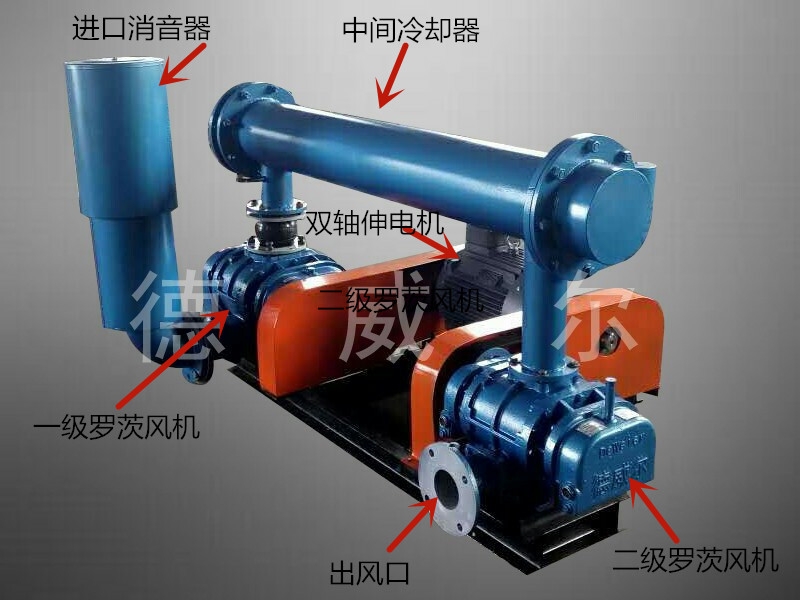 雙極串聯羅茨風機展示